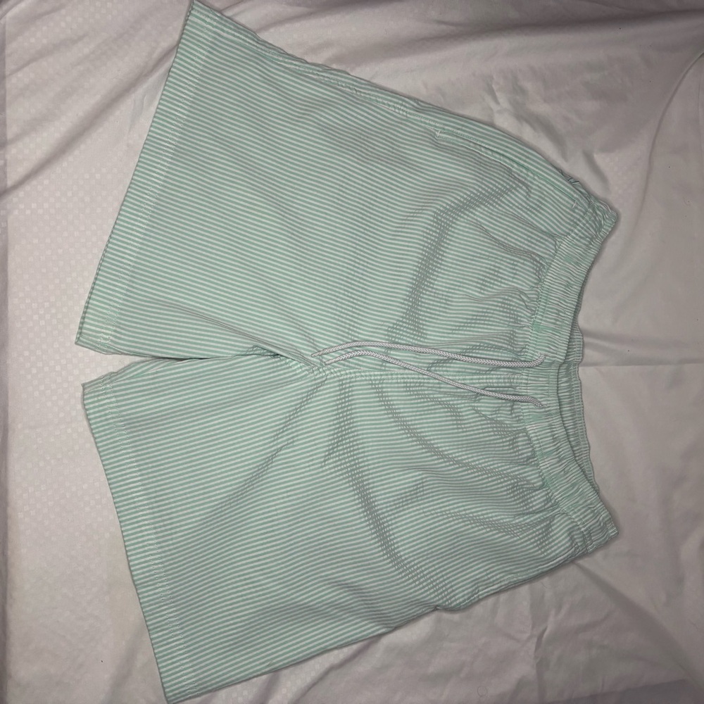 Magellan Outdoors Mint Green Striped Men’s Bermudas